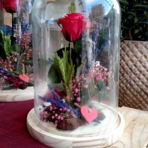 rosa-roja-preservada-cupula-floristeria-les-flors-igualada